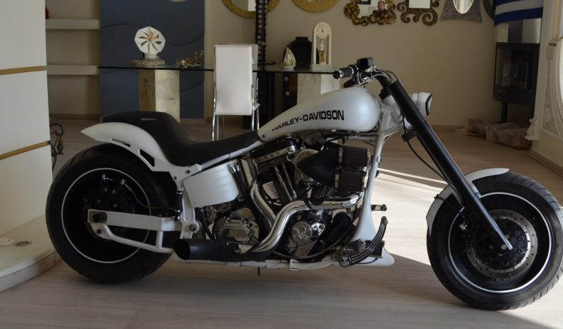 HARLEY DAVIDSON SOFTAIL CUSTOM full