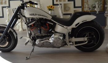 HARLEY DAVIDSON SOFTAIL CUSTOM full