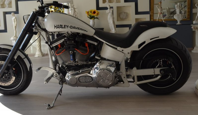 HARLEY DAVIDSON SOFTAIL CUSTOM full