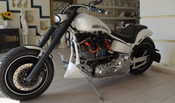 HARLEY DAVIDSON SOFTAIL CUSTOM full