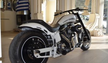 HARLEY DAVIDSON SOFTAIL CUSTOM full
