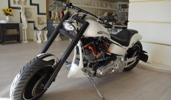 HARLEY DAVIDSON SOFTAIL CUSTOM full