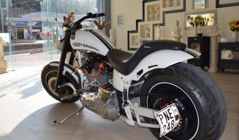 HARLEY DAVIDSON SOFTAIL CUSTOM full