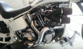 HARLEY DAVIDSON SOFTAIL CUSTOM full