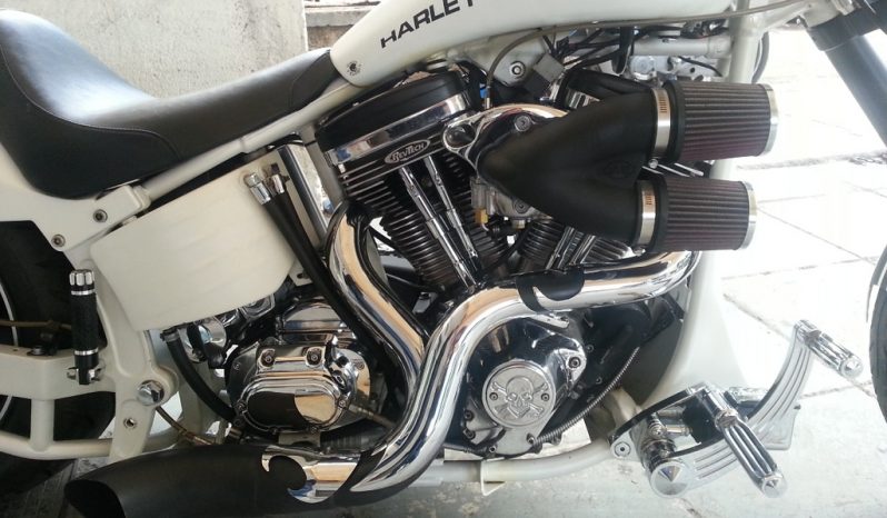 HARLEY DAVIDSON SOFTAIL CUSTOM full